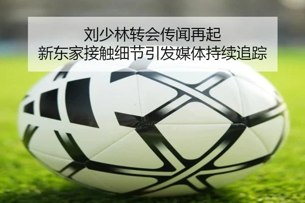 刘少林转会传闻再起 新东家接触细节引发媒体持续追踪